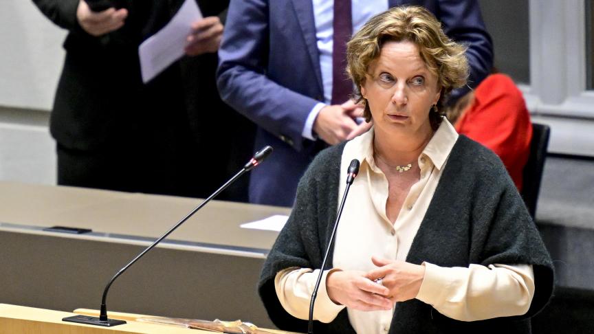 Volgens Mieke Schauvliege (Groen) is er geen enkele garantie dat de advieskwaliteit zal verbeteren door de besparingsoefening.