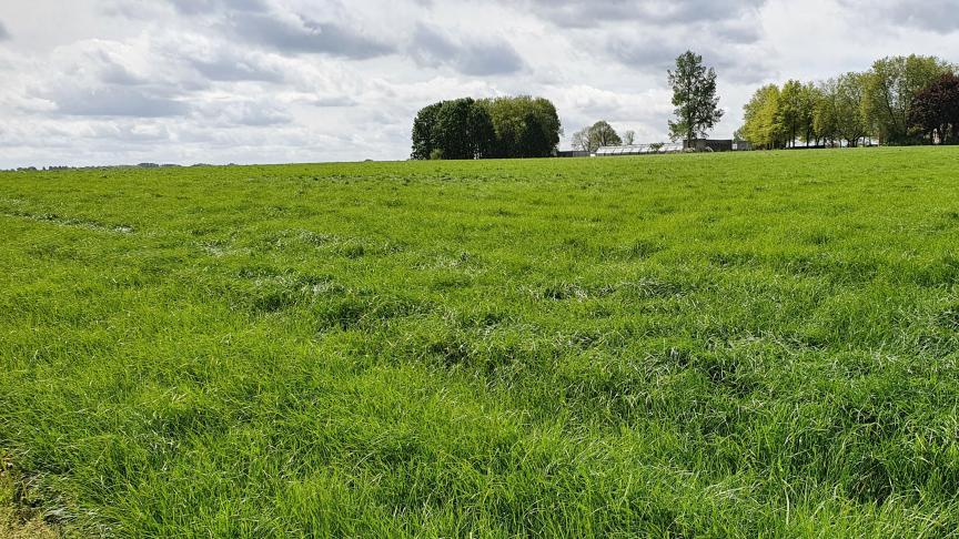 In het project ‘GePASt Beweiden’ wilde men de bedrijfsvoering bij beweiding optimaliseren, zowel bij jongvee als bij melkgevende koeien, door de kwaliteit en de opname van vers gras op de weide beter in beeld te brengen.