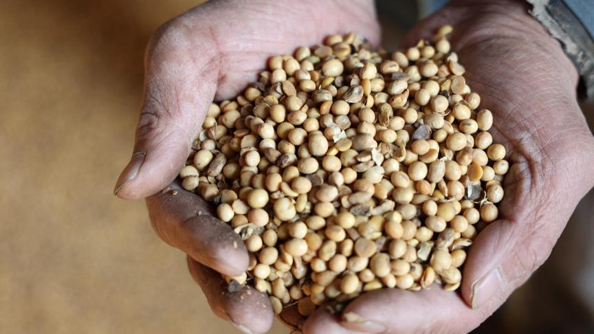 Landbouwgewassen zoals sojabonen worden duurder omdat er door de oorlog in Iran meer vraag is naar op gewassen gebaseerde biobrandstoffen.