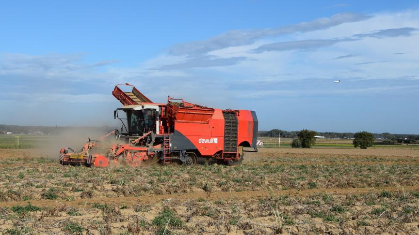 De NEPG herhaalt dat een reductie van het aardappelareaal nodig is.