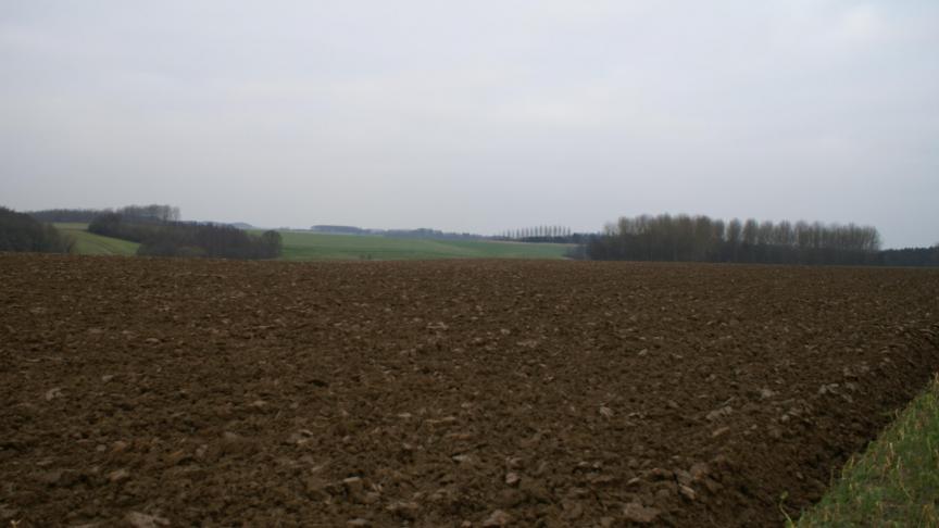 Viaverda en Inagro zoeken geschikte praktijkpercelen met bekende aanwezigheid van zogenaamde ‘koperwormen’.