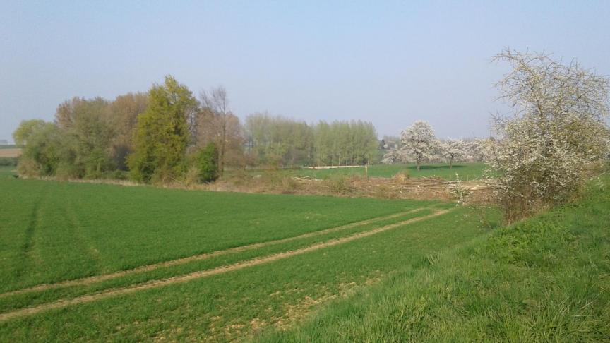 Volgens het rapport baart de achteruitgang van onze Vlaamse natuur het meest zorgen buiten de beschermde gebieden en vooral in agrarisch gebied.