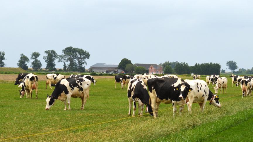 De studie stelt onder meer voor om een rekenkundige ondergrens van minstens 1 mol in te voeren.
