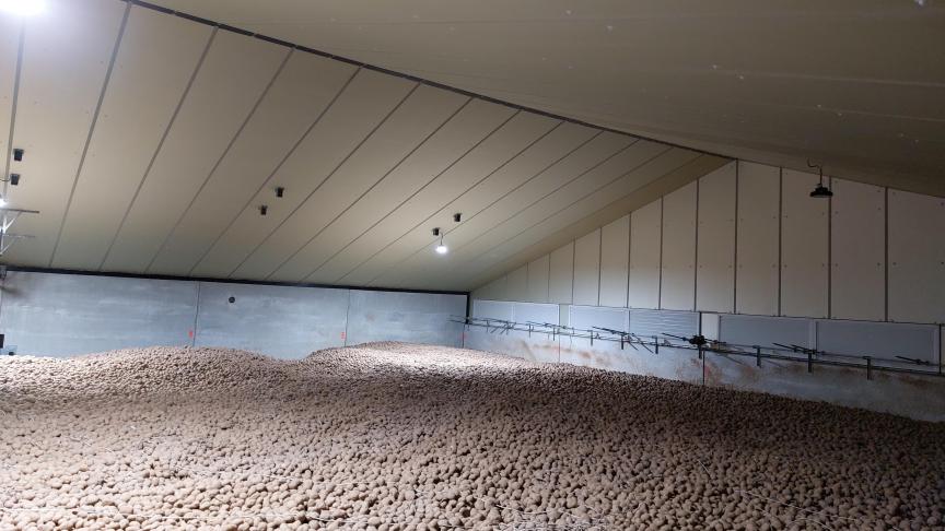 Sinds de oogst is er nauwelijks afzet geweest van ‘vrije’ aardappelen.