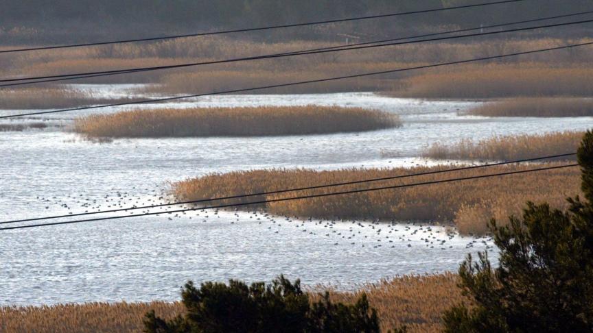 De update van de lijst met vervuilende stoffen moet de vervuiling van het grondwater en de waterwegen indammen.