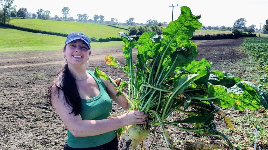 Studente Lobke Hamelink tijdens haar eindstage bij Amco Farm (Nieuw-Zeeland).