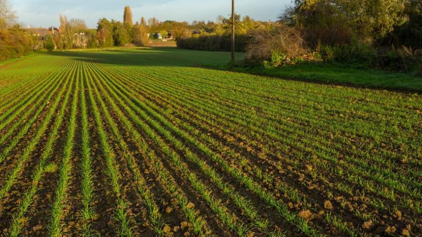 Volgens BioForum kan kiezen voor meer biologische landbouw enkele crises counteren.