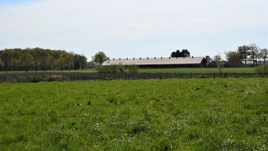 Schattingen wijzen erop dat 10% van de varkensbedrijven in Vlaanderen zich in een situatie van structurele onhaalbaarheid bevinden.