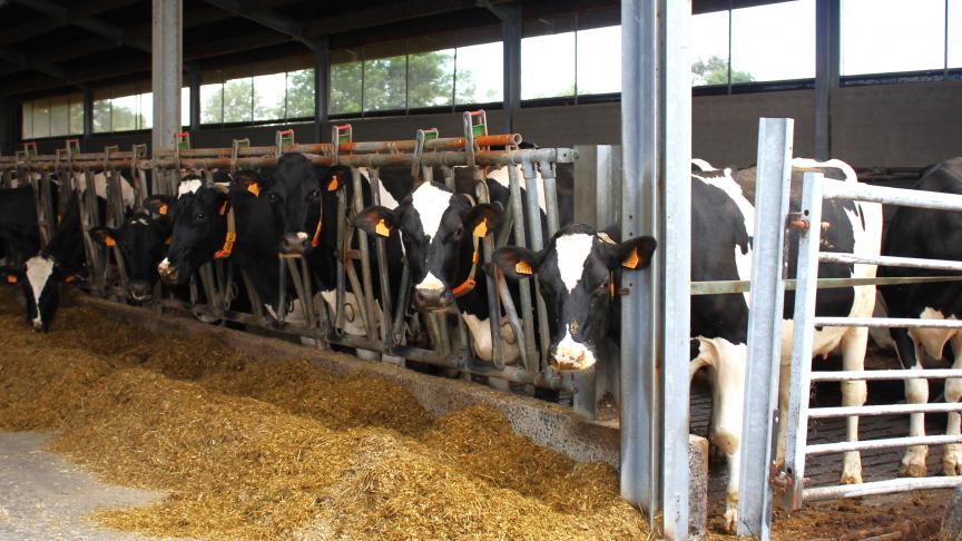 Stefaan Sintobin stelt zich vragen bij de verhouding tussen het dalende aantal landbouwers en het stijgende aantal landbouwambtenaren.