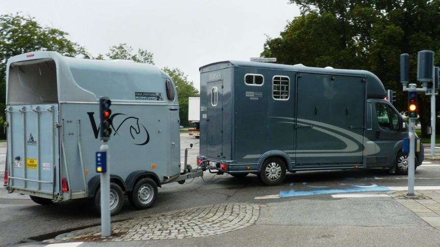 Het diergezondheidscertificaat is niet langer nodig voor niet-commerciële paardenverplaatsingen binnen een deel van de Benelux.