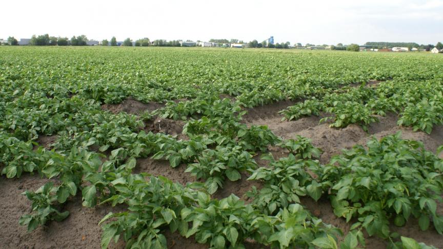 Dien je verzamelaanvraag uiterlijk op 30 april in om je percelen te registreren en om steun aan te vragen in het kader van het GLB.