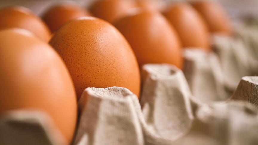 De impact van de stijgende import van eieren uit Oekraïne op de Vlaamse eiermarkt blijft voorlopig beperkt.