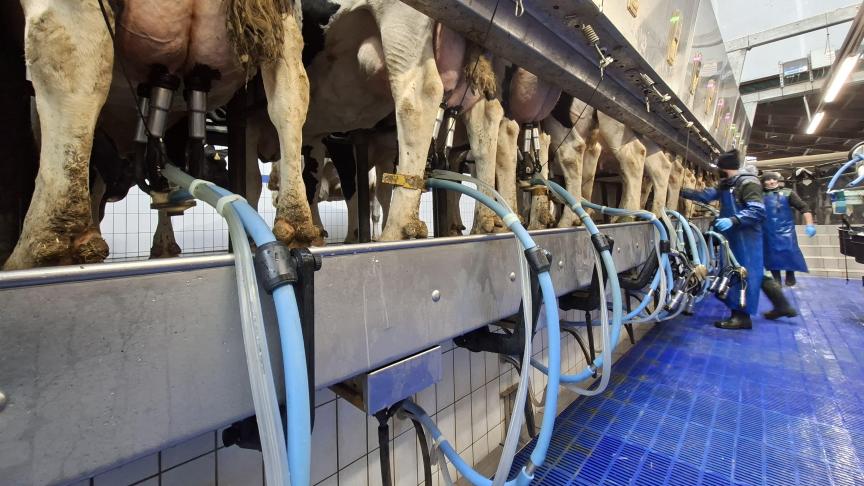 De EZ Arm moet meer ergonomie bieden bij het melken.