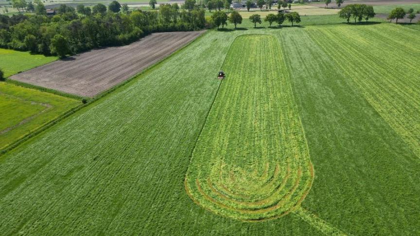 Mits enkele aandachtspunten is het mogelijk om fauna te sparen tijdens het maaien.