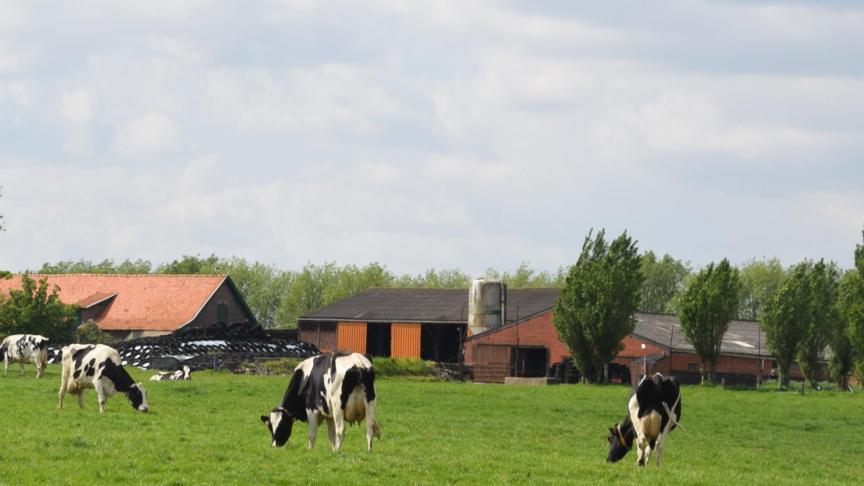In de komende weken en maanden worden de facturen voor de inning van de verplichte bijdragen voor het Sanitair Fonds verzonden.