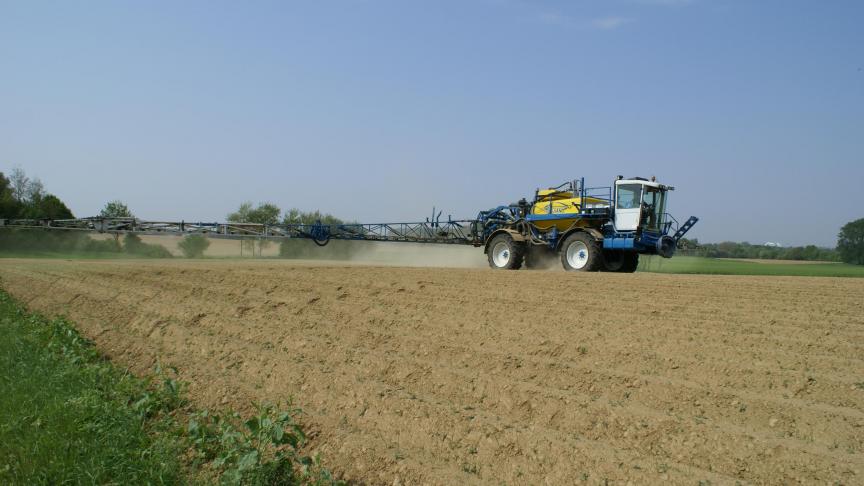 Een goede behandeling in vooropkomst blijft de basis om onkruiden effectief te bestrijden in aardappelen.