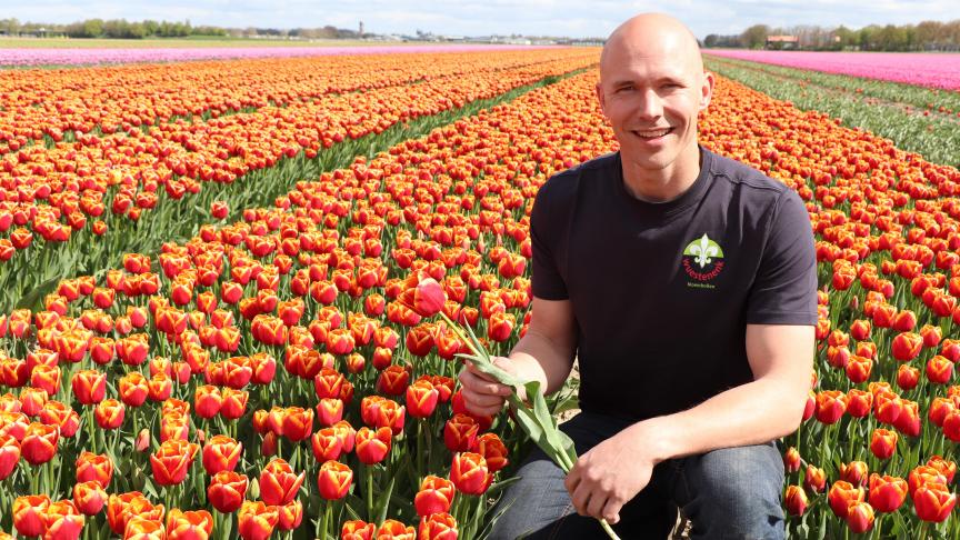 Bloembollenteler Bernd Wuestenenk toont ons de ‘Angela Merkel’-tulp.