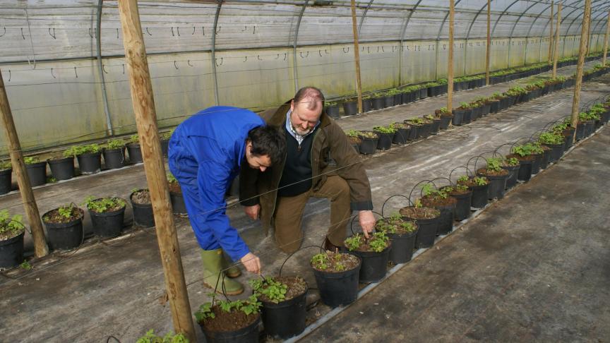 Professionele landbouwers, die als hoofdactiviteit nog altijd de productieve landbouw hebben, kunnen een subsidie krijgen om zorggasten te ontvangen.