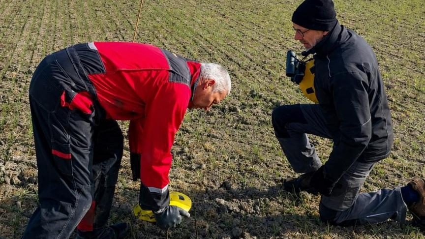 Landbouwer Jos De Potter (links) en een vrijwilliger van vzw De Kerkuil plaatsen een beschermend schaaltje over een nest kievitseieren.