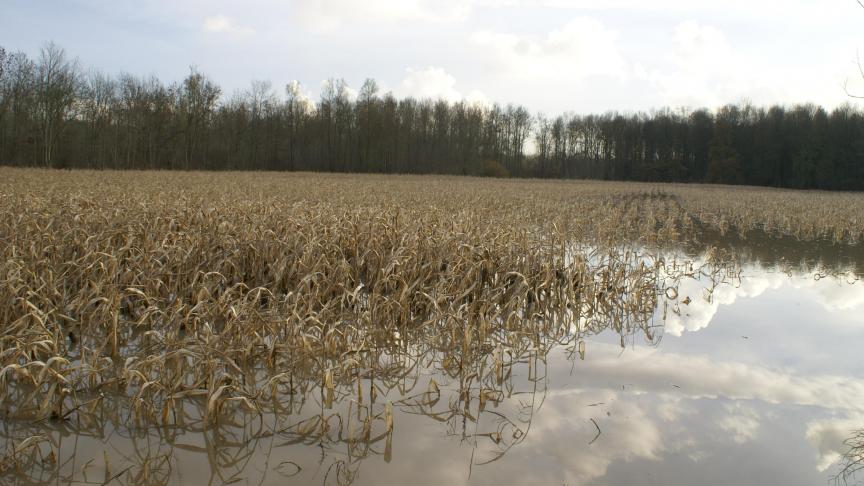 Uit recent onderzoek blijkt dat geconcentreerde regenval nefaster is voor de bodem.