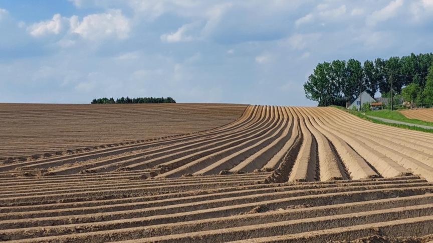 Als de verpachter overlijdt, treden de erfgenamen of rechtverkrijgenden van de overleden verpachter in zijn plaats en wordt de pachtovereenkomst met de erfgenamen als nieuwe verpachters gewoon verdergezet.
