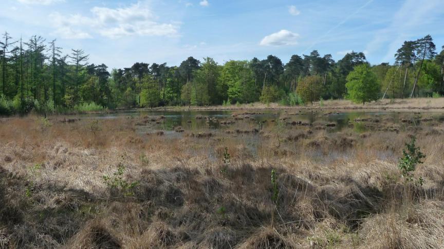 De landbouwers in het Turnhouts Vennengebied vragen een andere piste die in het stikstofdossier moet worden gevolgd.
