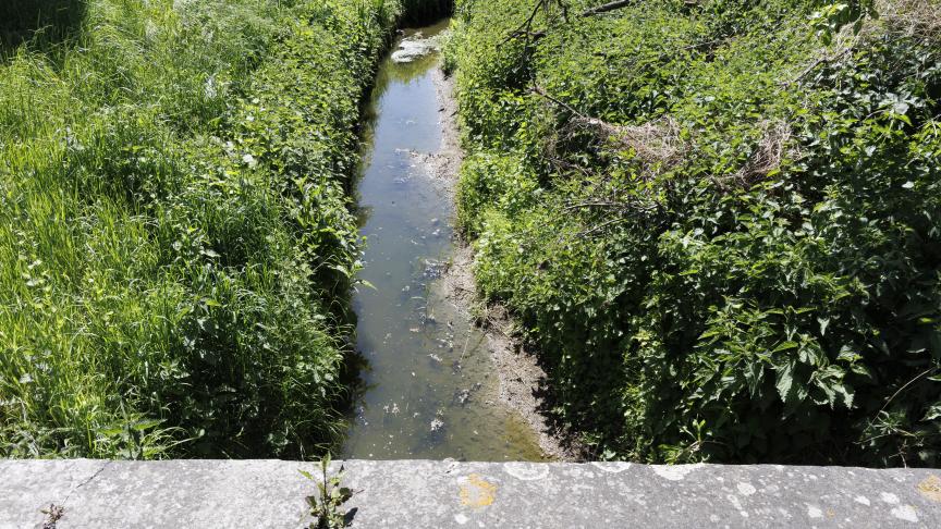 Bij een incident is per ongeluk een chemisch product in de Vijverbeek terechtgekomen in Westrozebeke.
