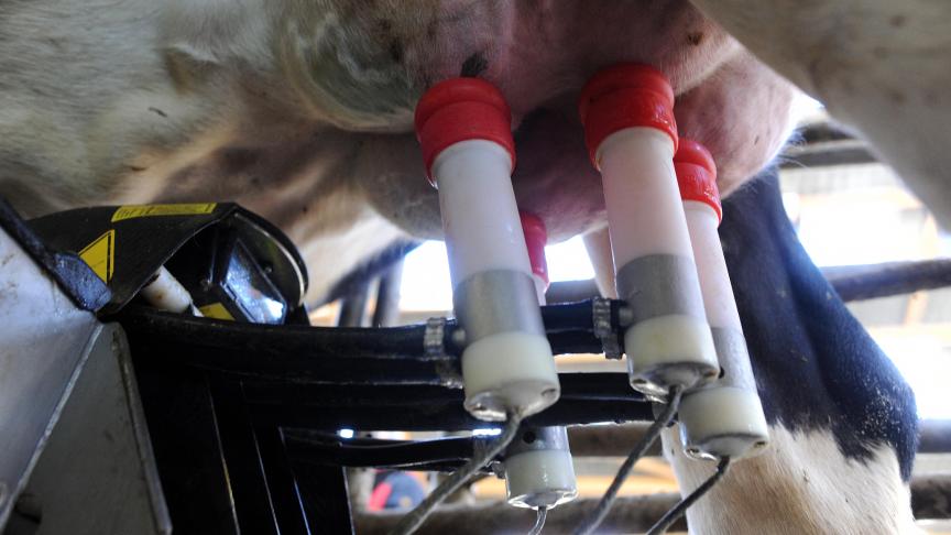 De Verenigde Naties zetten al 25 jaar melk als een natuurlijke voedingsbron in de kijker. De melkveehouderij evolueerde in die periode naar een heel duurzame sector.